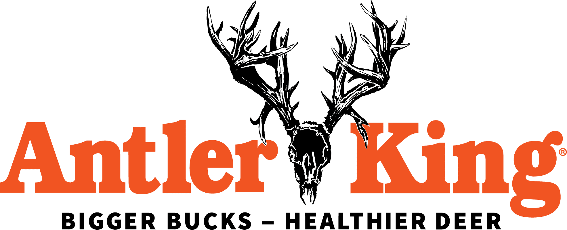 Antler King