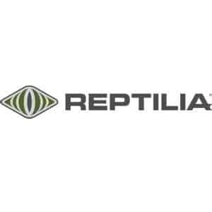 Reptilia