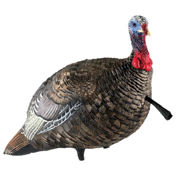 Avavxavx8003jpg - avian-x lcd quarter-strut jake turkey decoy - avavxavx8003