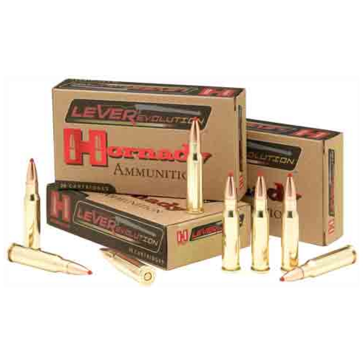 Ahdy82744. Jpg - hornady leverevolution 265gr - ahdy82744