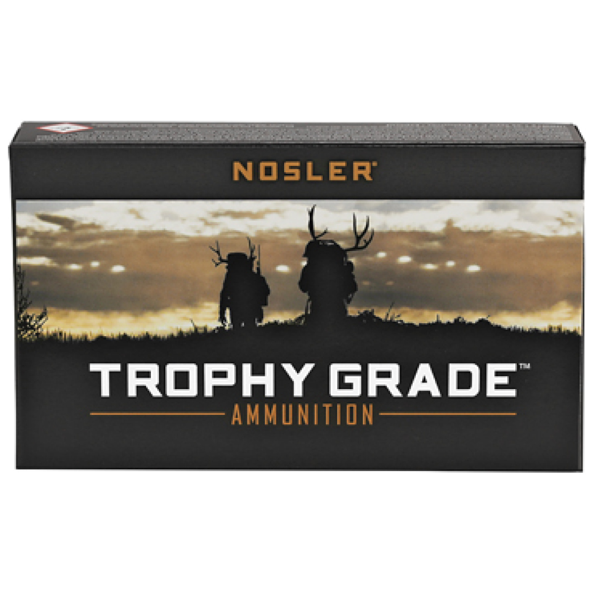 Nos61046_1. Jpg - nosler tg 243win 100gr pt 20/200 - nos61046 1