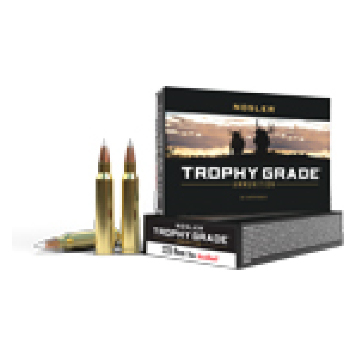 An61036. Jpg - nosler trophy grade 223 70gr - an61036