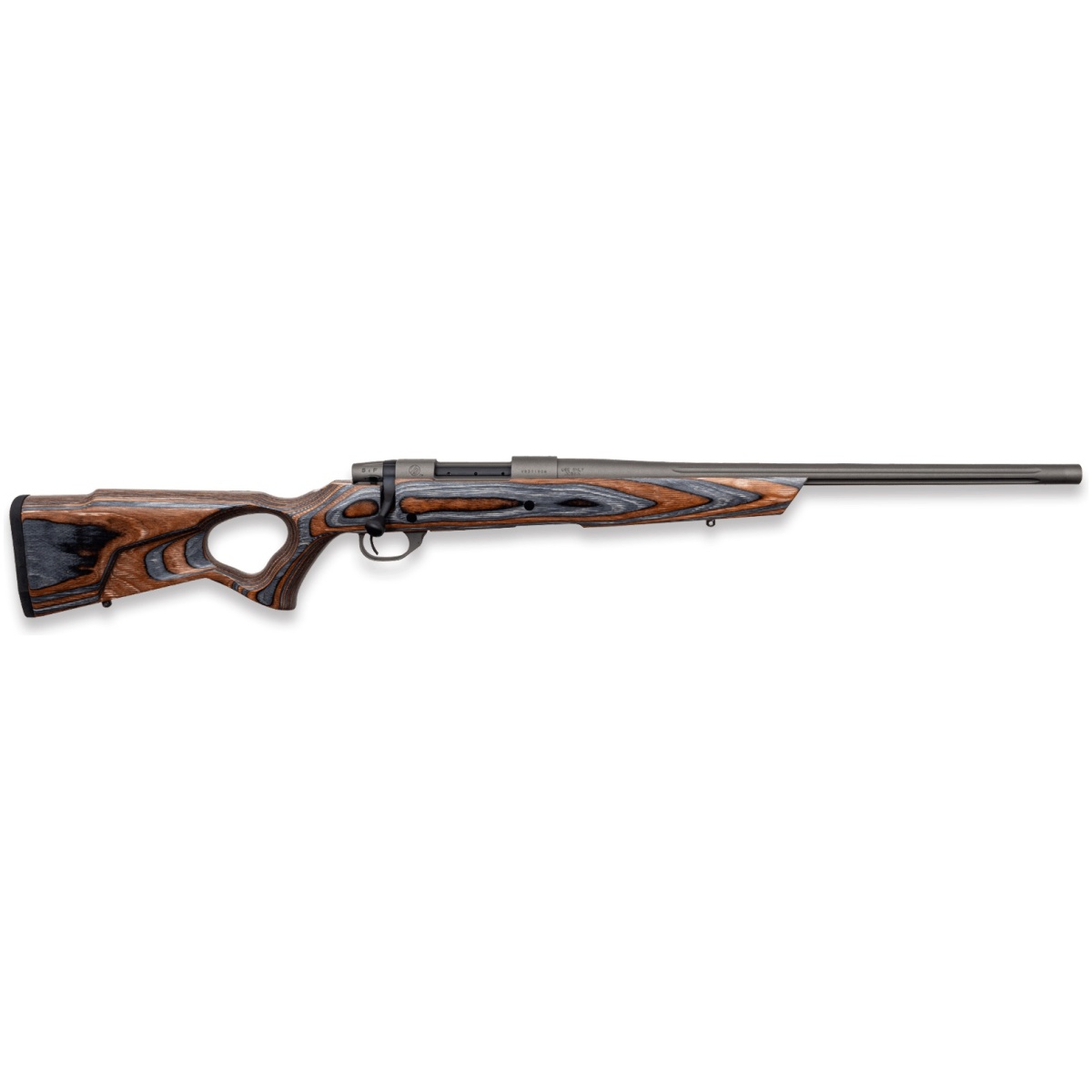 Spikecamp6c77-3. Jpg - weatherby vanguard spike camp 223rem 20" - spikecamp6c77 3