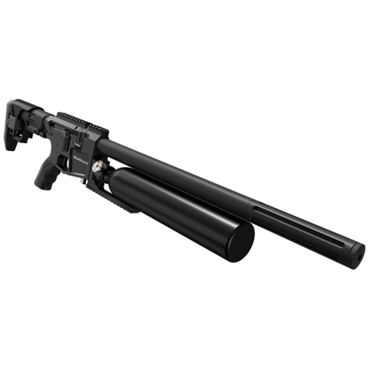 Bpg25s_angle. Jpg - benjamin pcp gunnar. 25 cal. - air rifle 500cc reservoir - bpg25s angle