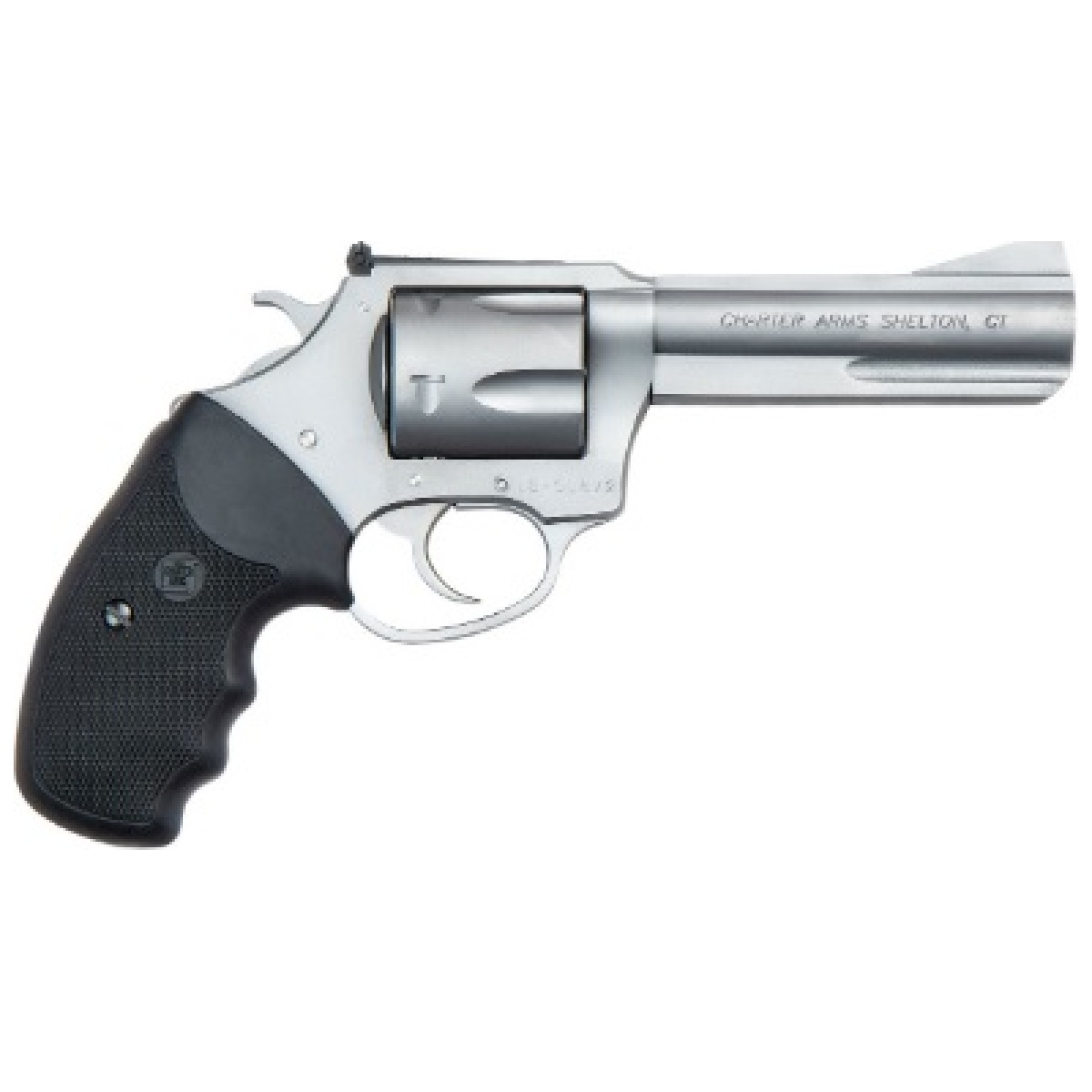 Ch735468eee. Jpg - charter arms the professional 357mag ss - ch735468eee