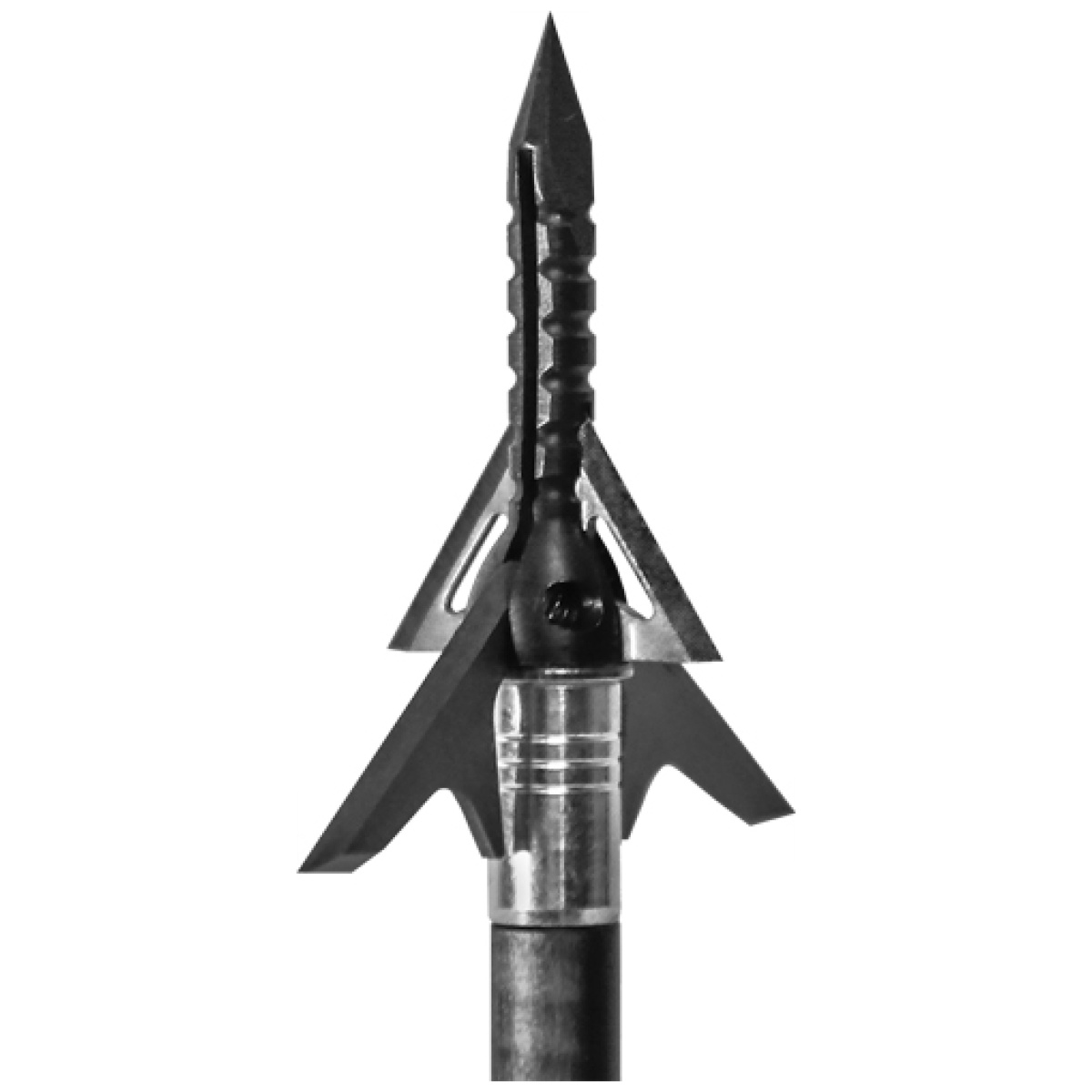 21stasl. Jpg - slick trick broadhead hybrid - assailant 100gr 1 3/4" 3pk - 21stasl