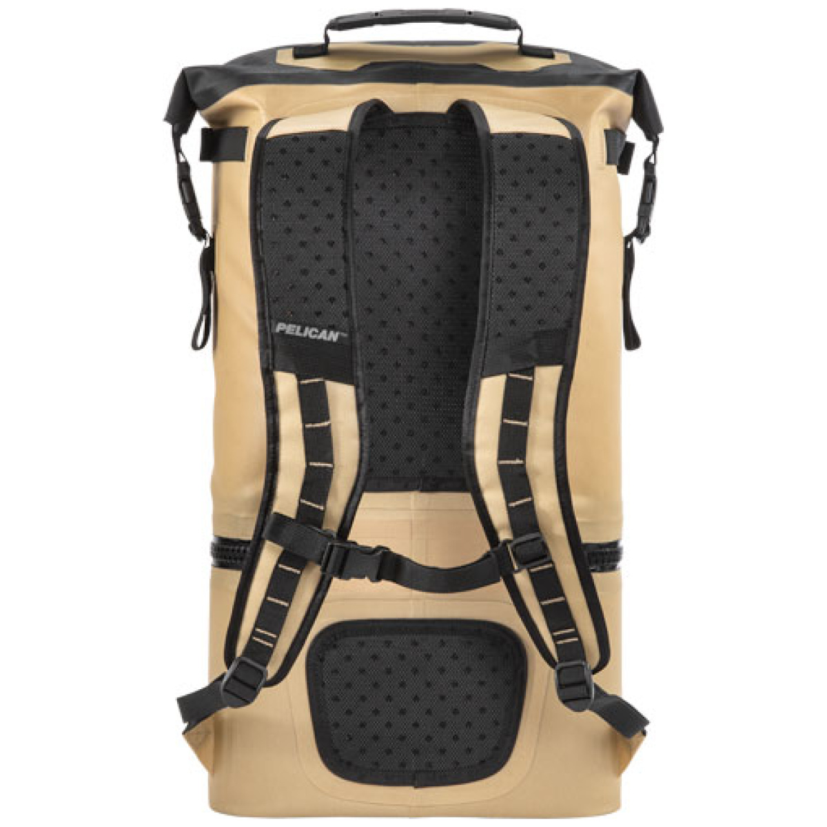 Softcbkpkcoyote_back. Jpg - pelican soft cooler backpack - compression molded coyote - softcbkpkcoyote back