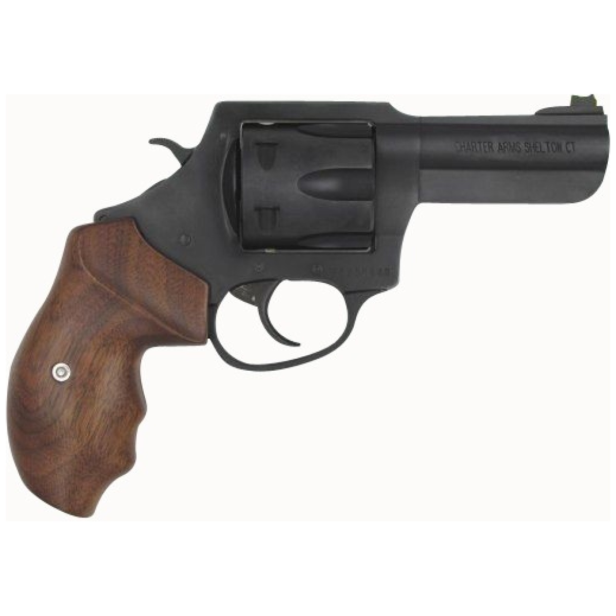 Ch63546ea84. Jpg - charter arms the professional 357mag 4. 2" - ch63546ea84