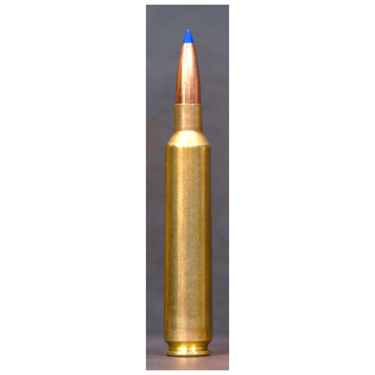 Ab65rpm127lrx_shell. Jpg - weatherby ammo 6. 5 wby rpm - 127gr lrx 20rd 10bx/case - ab65rpm127lrx shell