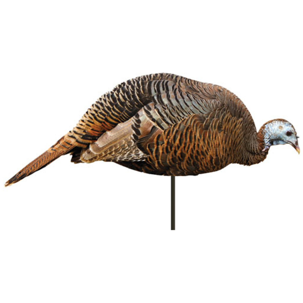 M0043. Jpg - montana decoy turkey hen - dinner belle - m0043