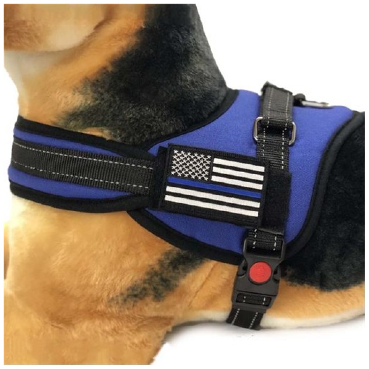 Tbl-dog-harn-tbl-lg-kit. Jpg - thin blue line harness with patch - tbl dog harn tbl lg kit