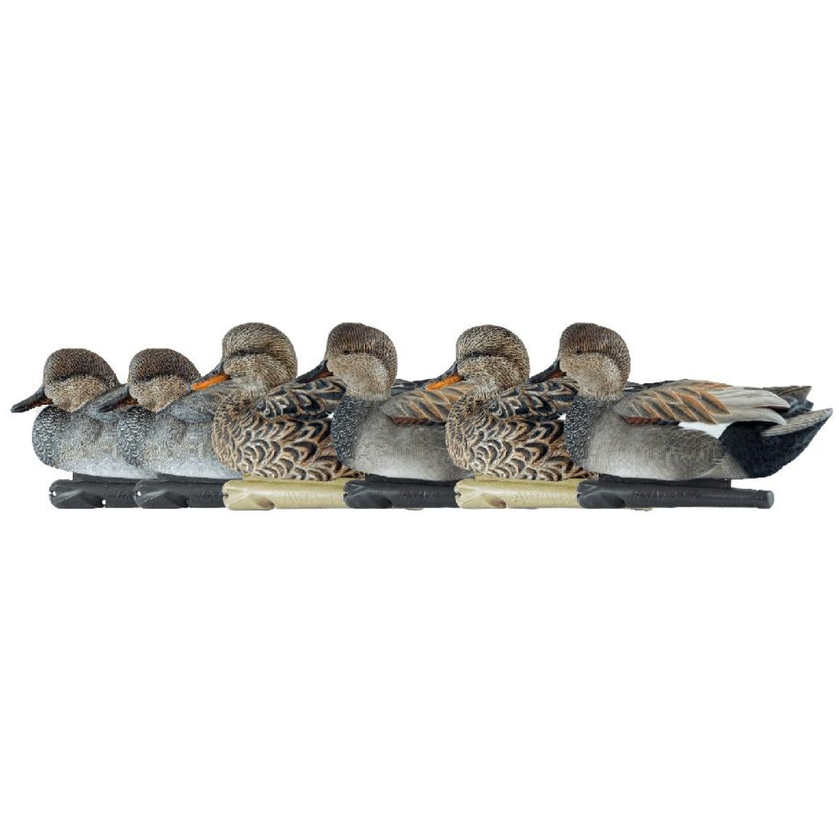 Avavxavx808_1. Jpg - avian-x top flight decoys gadwall 6/ct - avavxavx808 1