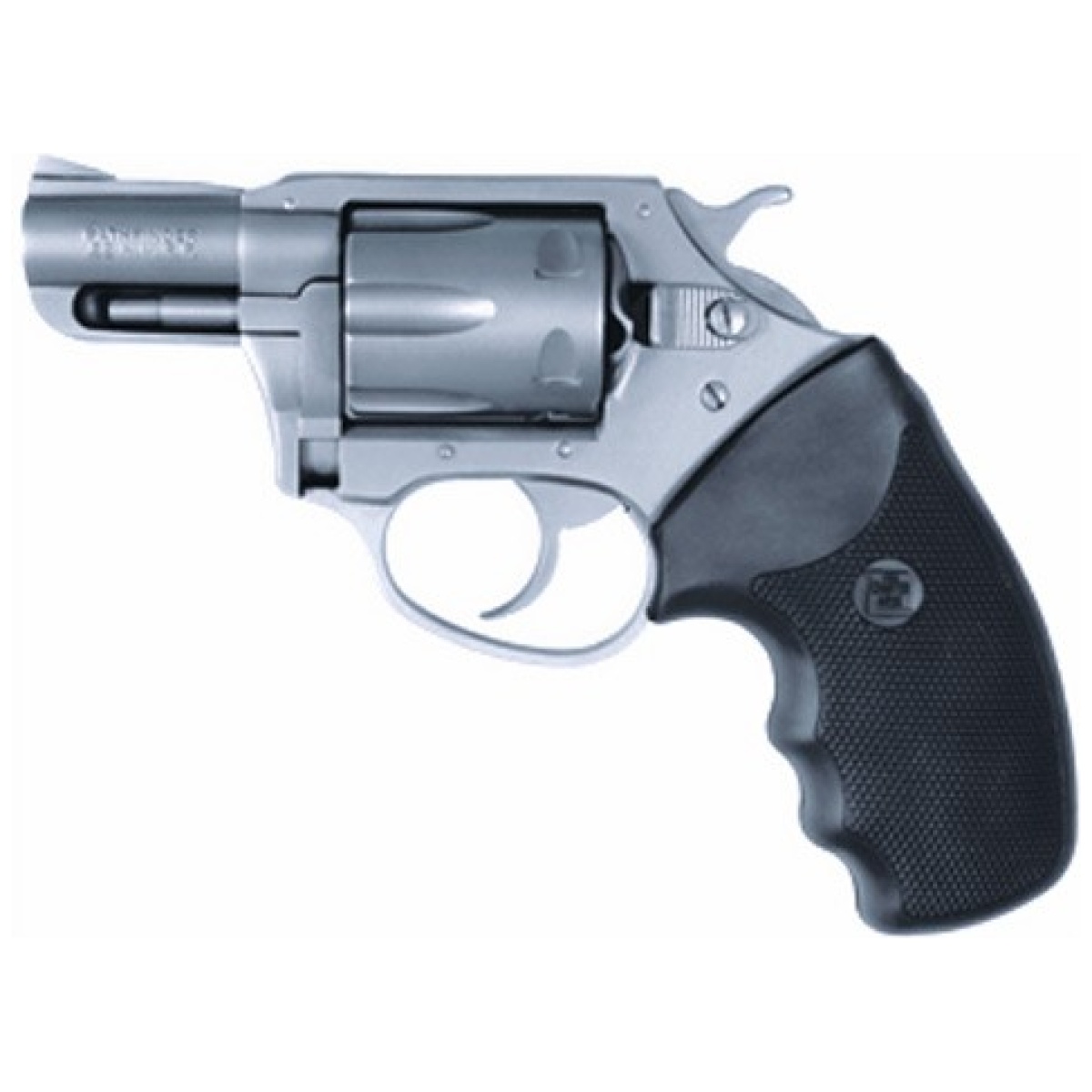 G72224. Jpg - charter arms pathfinder 22lr - 2" s/s - g72224