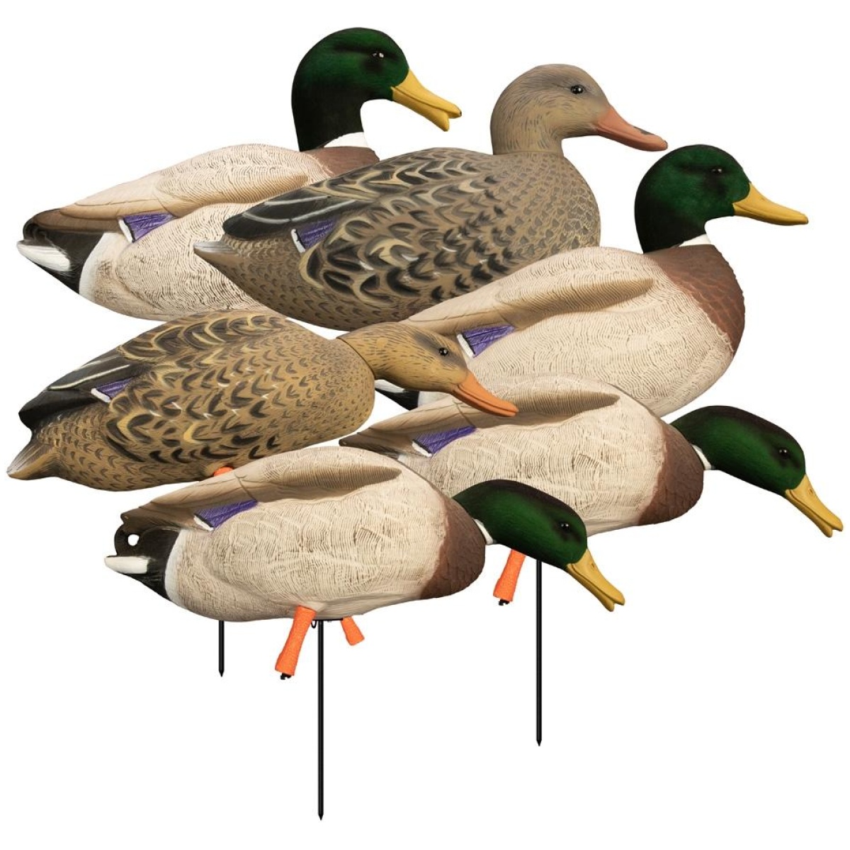 Hg12006. Jpg - higdon outdoors magnum full body mallard variety pack flocked heads 6pk - hg12006