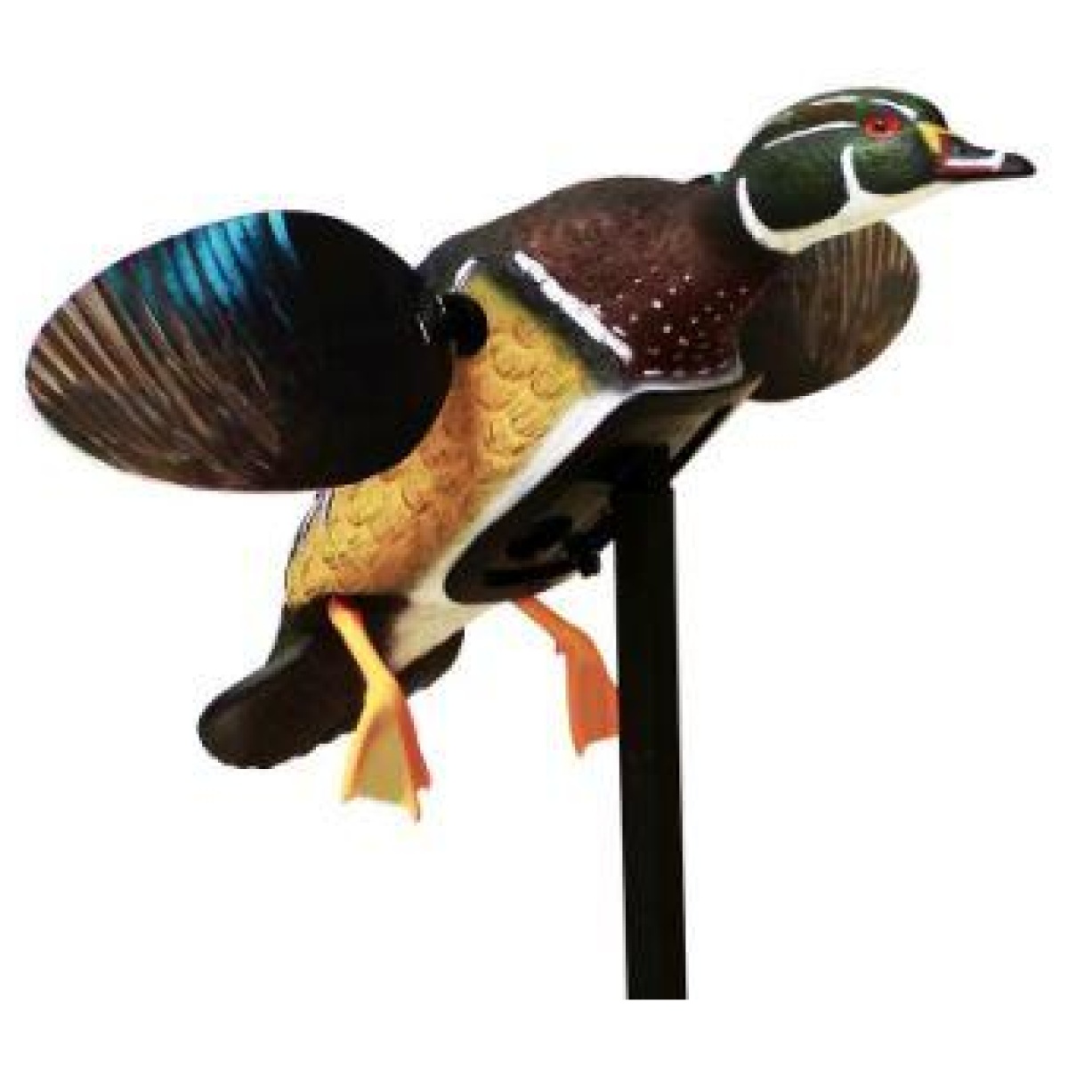 Juhw2472. Jpg - mojo elite series spinning wing motion decoy woody - juhw2472