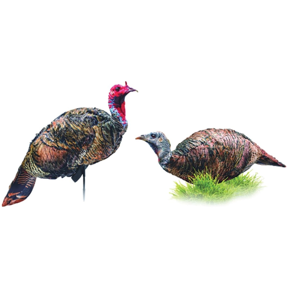 Qw0086. Jpg - montana decoyco purrfect pair xd turkey combo - qw0086