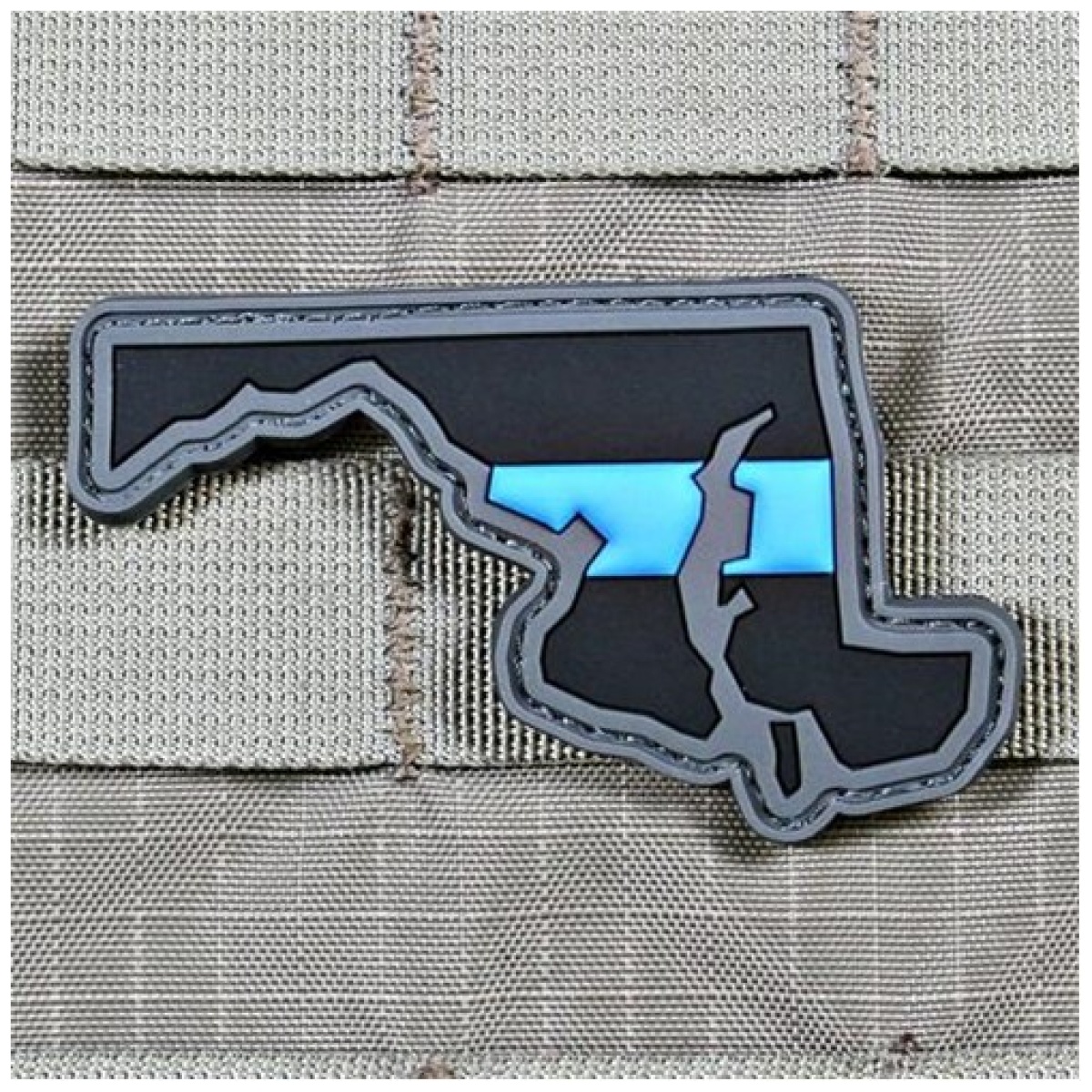 Vlms-1419. Jpg - every state in thin blue line patch - vlms 1419