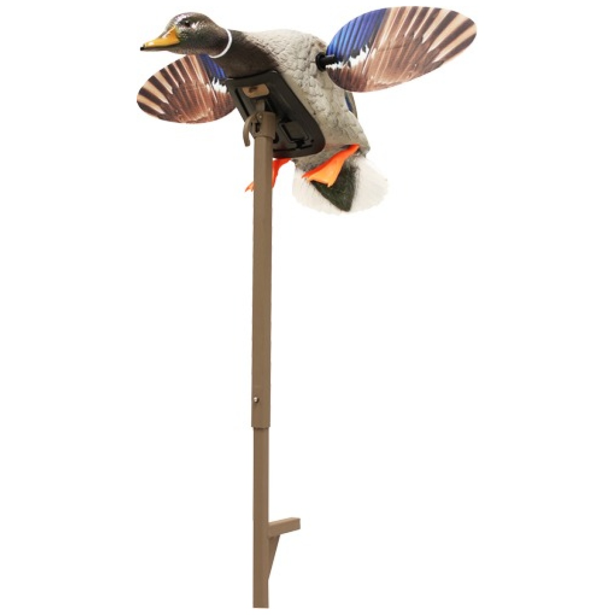 Hw24703p. Jpg - mojo elite series mini mallard - drake decoy - hw24703p