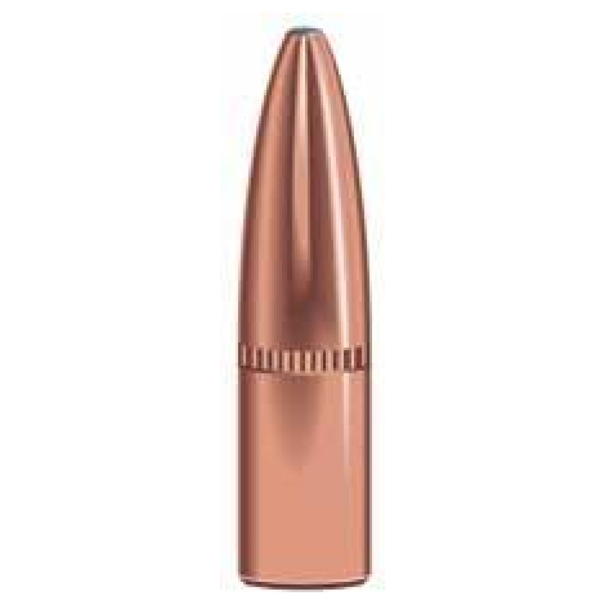 Https3a2f2fmedia. Chattanoogashooting. Com2fimages2fproduct2fsp12222fsp1222. Jpg - speer grand slam rifle bullets 6mm. 243" 100 gr gssp 50/ct - https3a2f2fmedia. Chattanoogashooting. Com2fimages2fproduct2fsp12222fsp1222