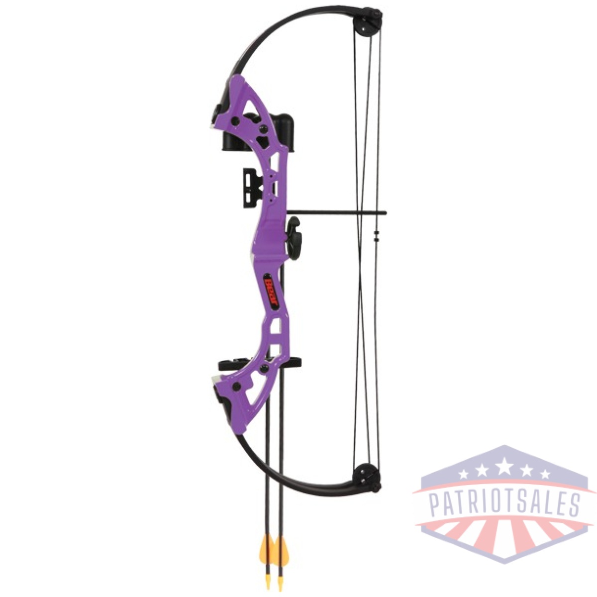 Ays300pl. Jpg - bear archery youth compound - bow brave rh purple age 8+ - ays300pl