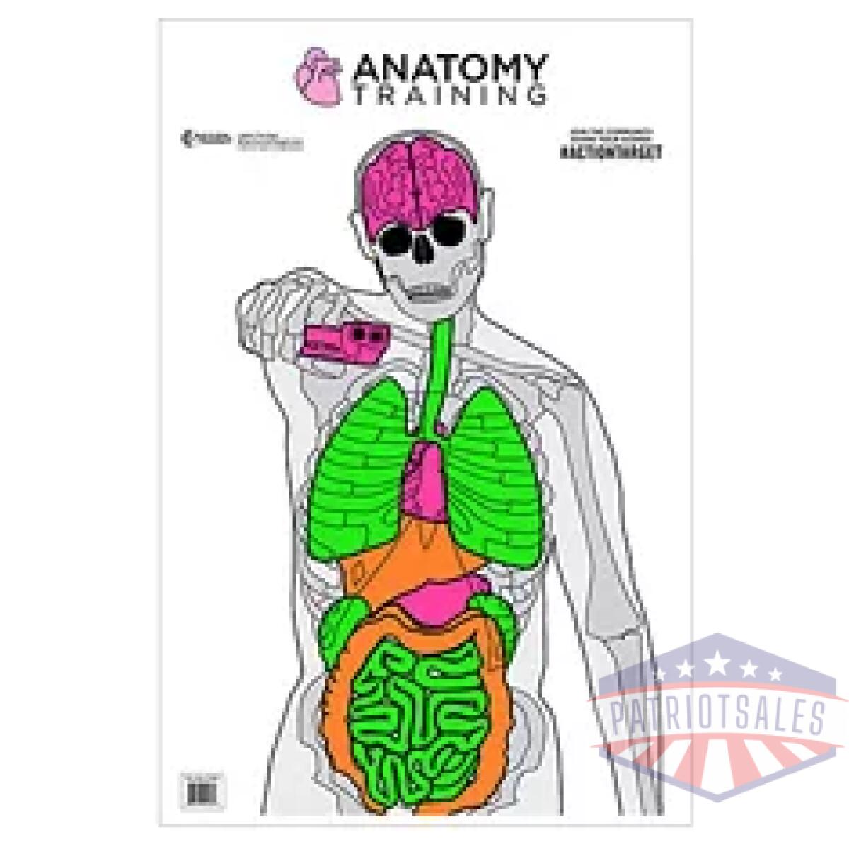 Actgs-anatomy-100_1. Webp - action tgt anatomy trng 100pk - actgs anatomy 100 1