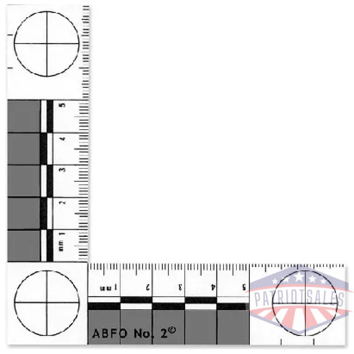 Lp-6-3875. Webp - abfo no. 2 photomacrographic scale - lp 6 3875