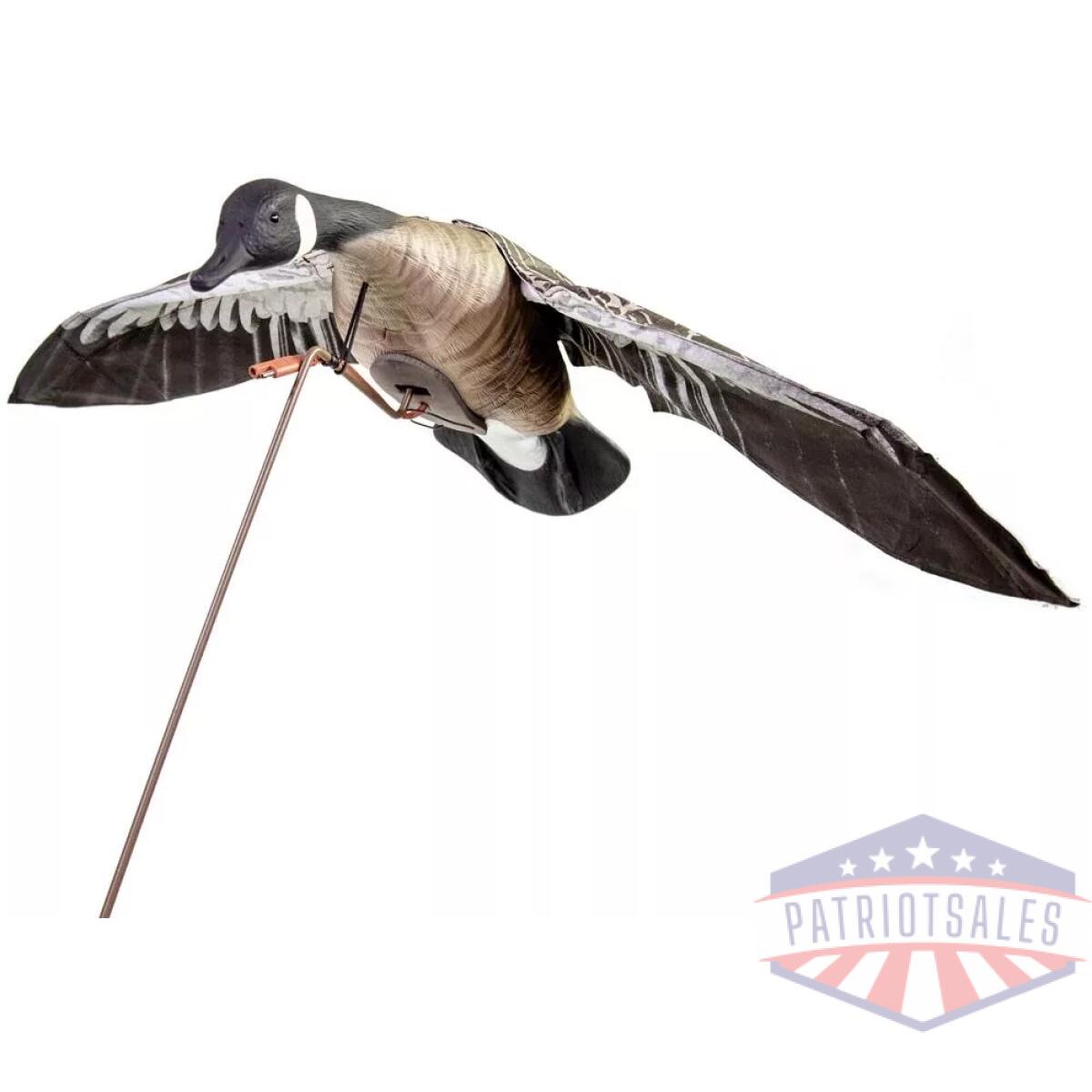 Https3a2f2fmedia. Chattanoogashooting. Com2fimages2fproduct2fhg560102fhg56010-1. Webp - higdon outdoors motion decoy clone canada goose - https3a2f2fmedia. Chattanoogashooting. Com2fimages2fproduct2fhg560102fhg56010 1