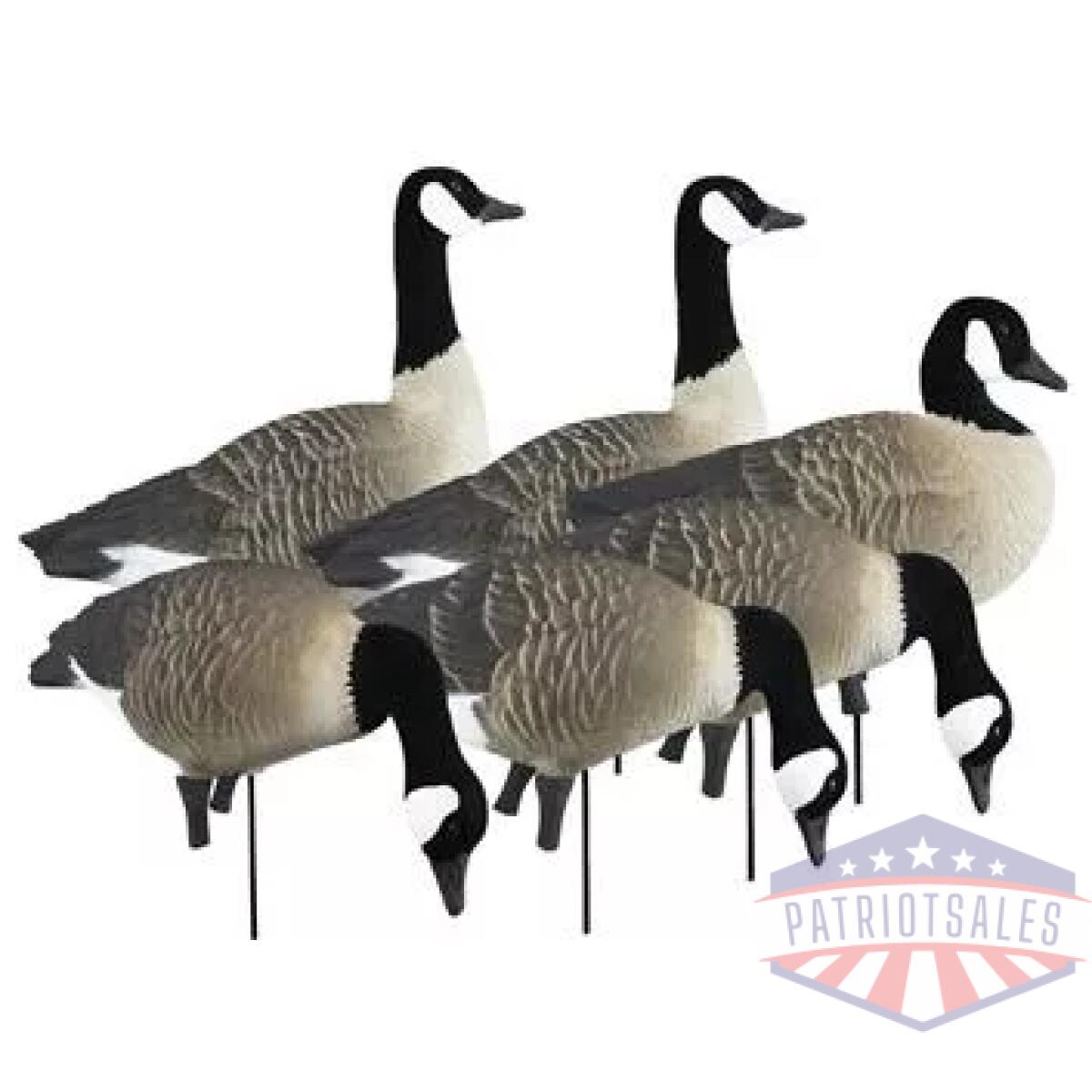 Https3a2f2fmedia. Chattanoogashooting. Com2fimages2fproduct2fhg722372fhg72237-1. Webp - higdon outdoors apex full-size full-body variety pack - canada goose - https3a2f2fmedia. Chattanoogashooting. Com2fimages2fproduct2fhg722372fhg72237 1