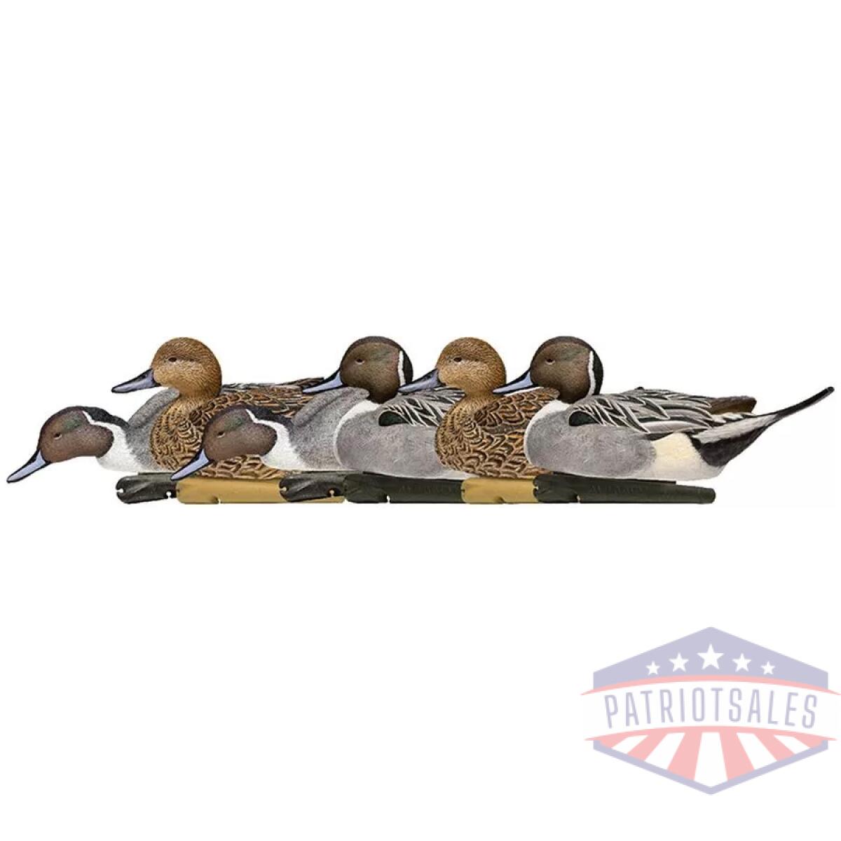 Https3a2f2fmedia. Chattanoogashooting. Com2fimages2fproduct2favavxavx80822favavxavx8082-1. Webp - avian-x topflight pintails duck decoys 6/ct - https3a2f2fmedia. Chattanoogashooting. Com2fimages2fproduct2favavxavx80822favavxavx8082 1